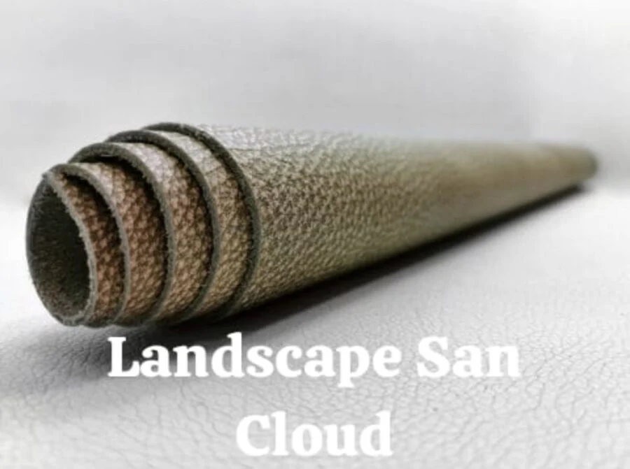 Textura de Landscape